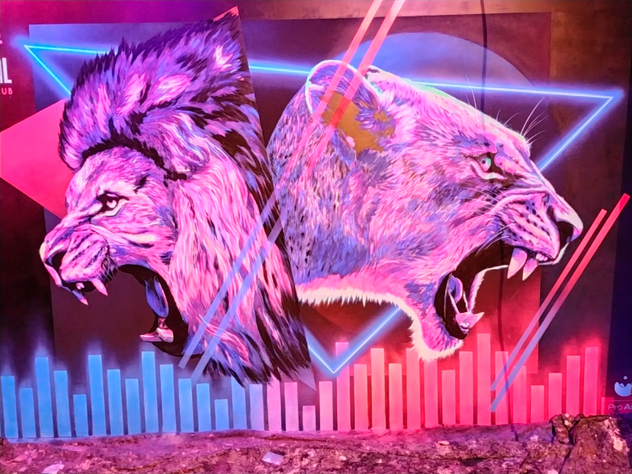 CORPORATIVO 5