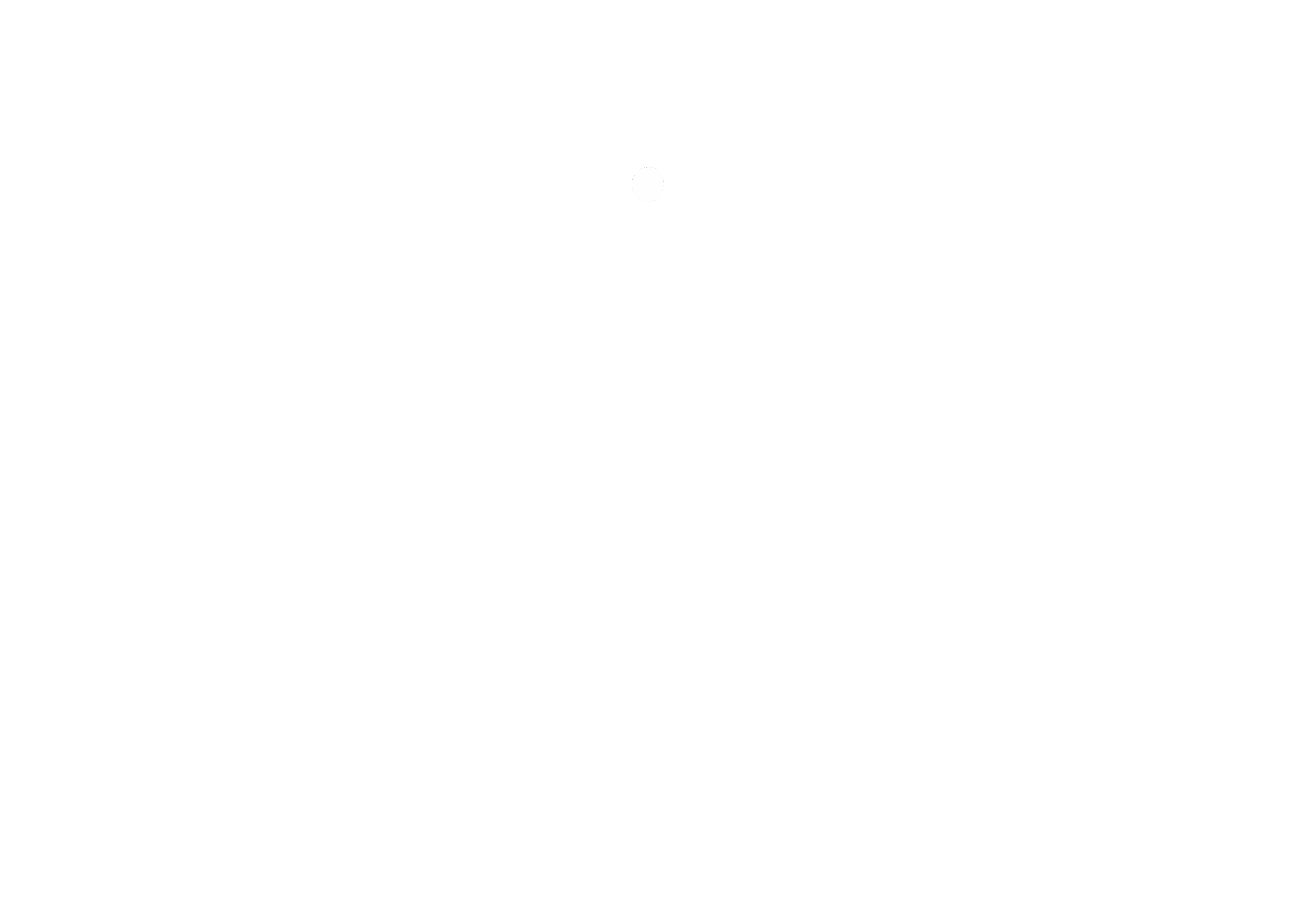 LOGO BLANCO3
